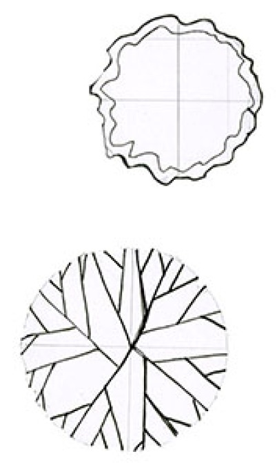 Elements: subcanopy trees
