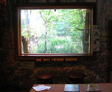 one way viewing window